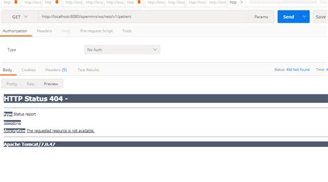 localhost 11501 404 not found|The API .